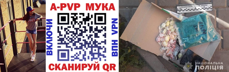 где купить наркоту  ОМГ ОМГ ССЫЛКА  Альфа ПВП СК  Реж 