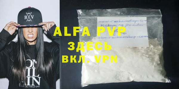 хмурый Арсеньев