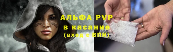 хмурый Арсеньев