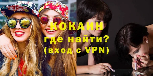 хмурый Арсеньев
