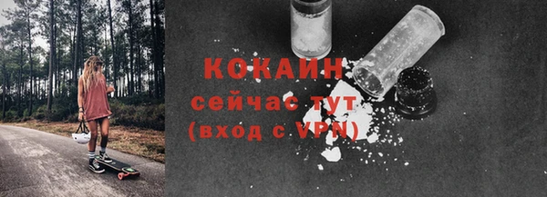 хмурый Арсеньев