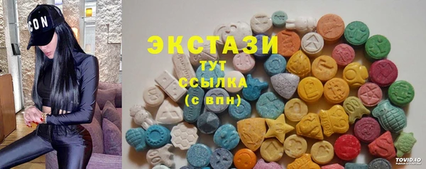 хмурый Арсеньев