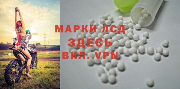 хмурый Арсеньев