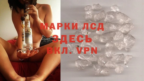 хмурый Арсеньев