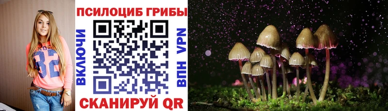 Псилоцибиновые грибы Psilocybine cubensis  мега как зайти  Реж 